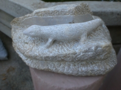 Artwork: Green lizard