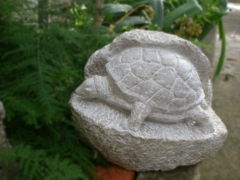 Artwork: Turtle (2)